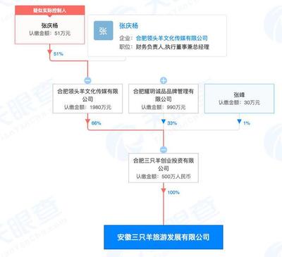 疯狂小杨哥成立三只羊旅游公司