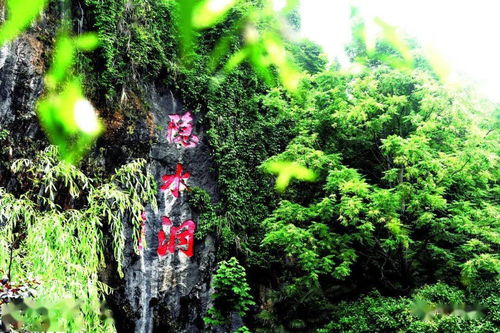 咸宁之美丨神奇隐水洞,十里水画廊