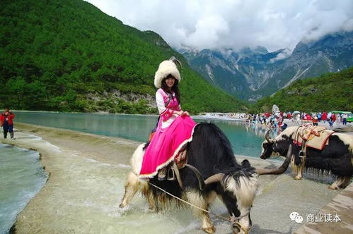 云南旅游聘任李坚为公司总经理