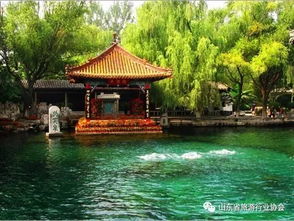 景区整改须标本兼治回归初心