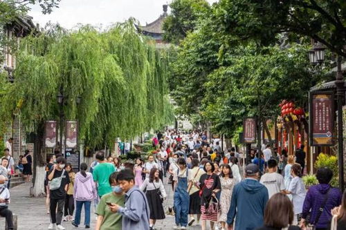 还在犹豫是否旅游 多个热门景点都要没地住了
