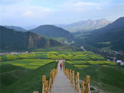 轮椅上度过十二年,儿媳进家喜出望外,婆媳成了 好闺蜜