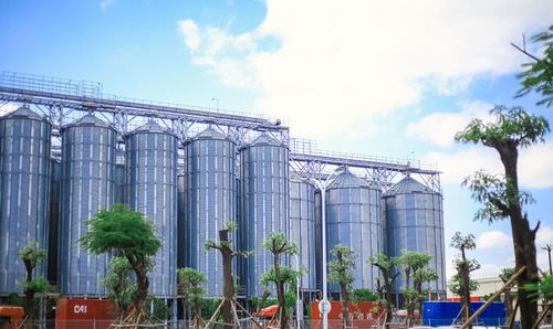 中国最特色的啤酒博物馆,因看重中国市场,而斥巨资造工厂旅游区