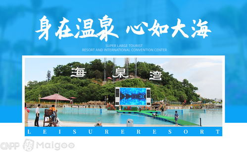 品牌榜 2019 2020年温泉十大品牌排行榜 投票结果公布
