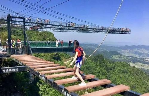 旅游景区打卡网红营销