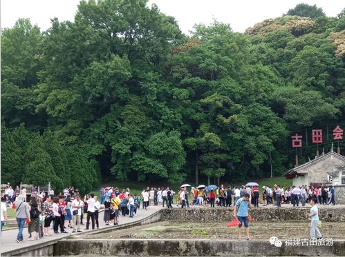 古田旅游区提升景区品质,五一人气火爆,广受欢迎