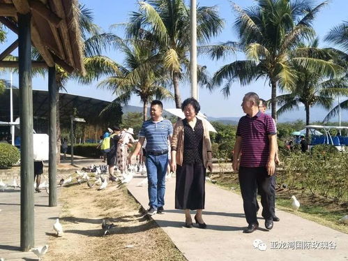 全国总工会 省总工会及三亚市总工会到我景区调研指导
