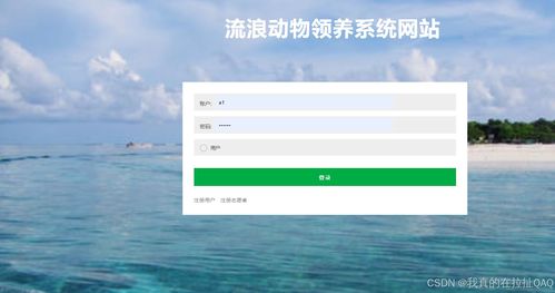 流浪动物领养系统网站设计与实现