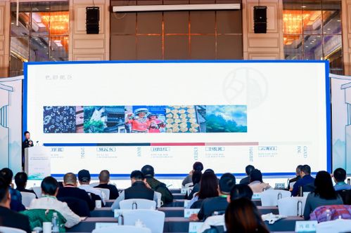 浙江省乡村旅游 运营 专题培训活动 在新昌举办